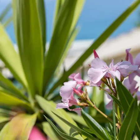 Apartmán Beachfront Comfort Nives